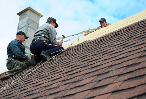 Best Tile Roofing Contractor  in North Liberty, IA